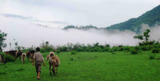 Global Health Education Leader Launches Planetary Health/One Health Initiative in Anticipation for Earth Day
